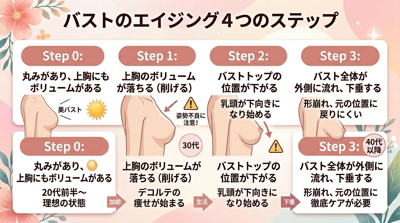 バストのエイジングステップ図解。20代から始まる上胸の削げ（ステップ1）から下垂（ステップ3）までの進行度と形状の変化を比較。