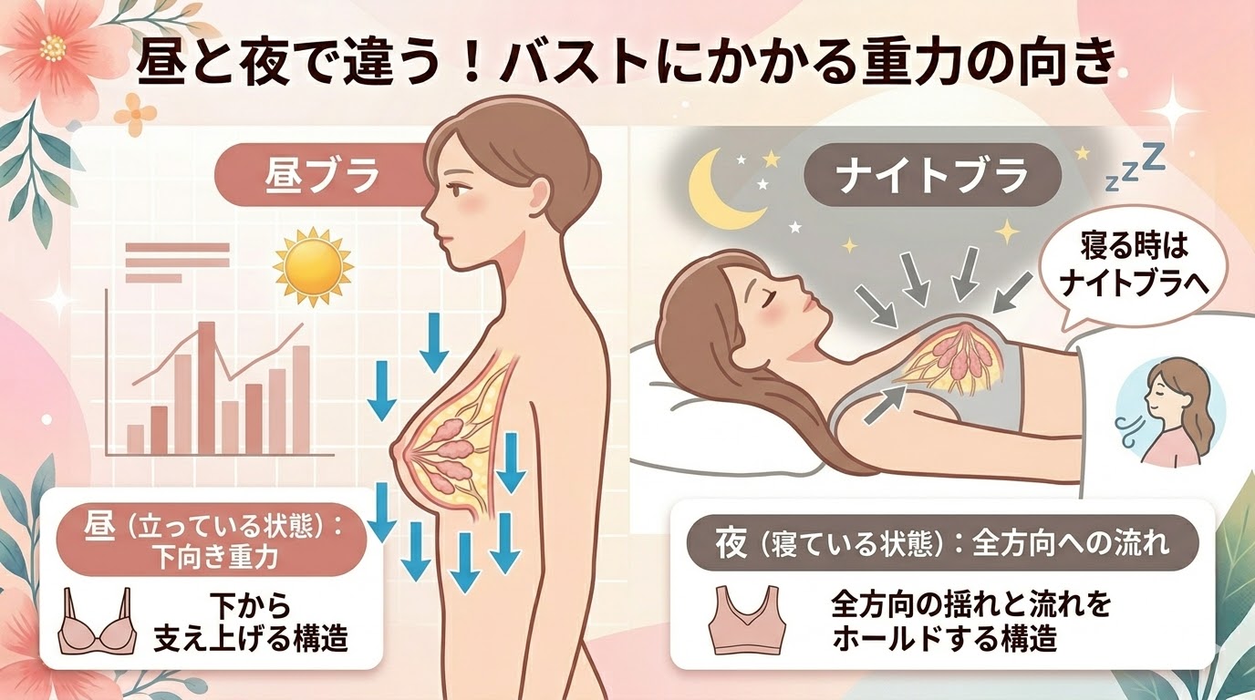 昼用ブラとナイトブラの役割の違い。立っている時の下向きの重力と、仰向けで寝ている時の左右・上向きの重力の流れを図解で比較し、ナイトブラの必要性を解説。